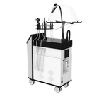 Máquina de Hydrafacial Microdermabrasion dos cuidados com a pele do oxigênio com máscara da absorção